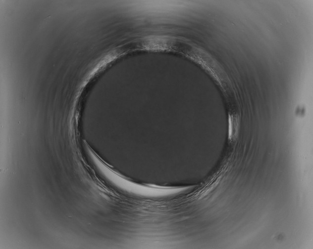 X0000098230723200805011256