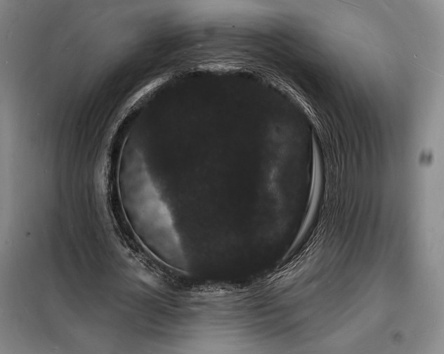 X0000098230724200805011256