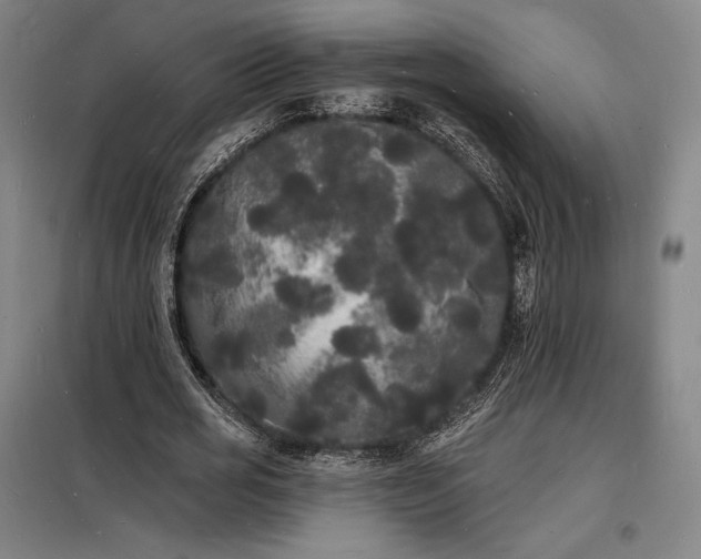 X0000098230725200805011256