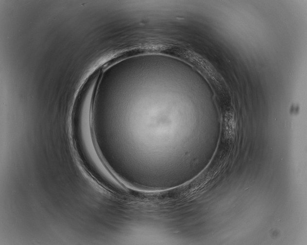 X0000098230726200805011256