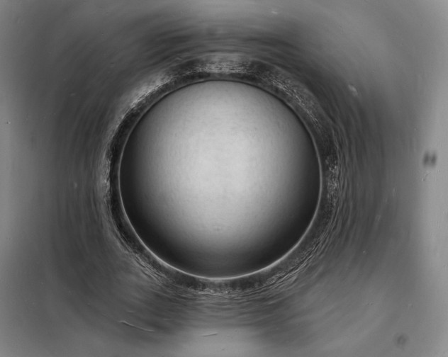 X0000098230727200805011256