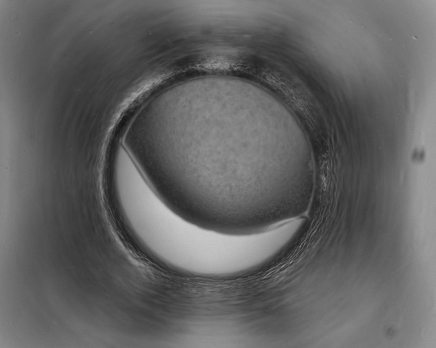 X0000098230728200805011256