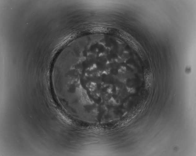 X0000098230729200805011256