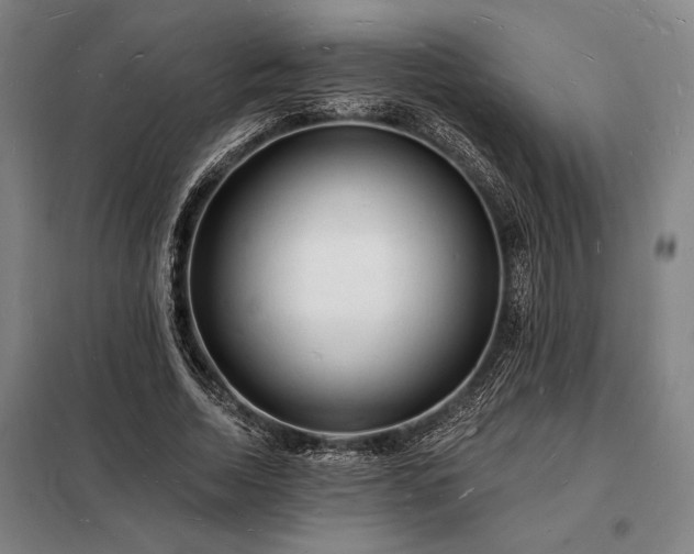 X0000098230730200805011256