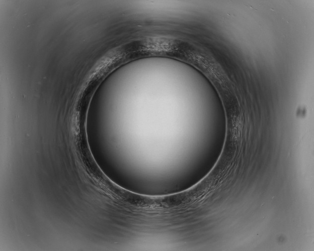 X0000098230731200805011256