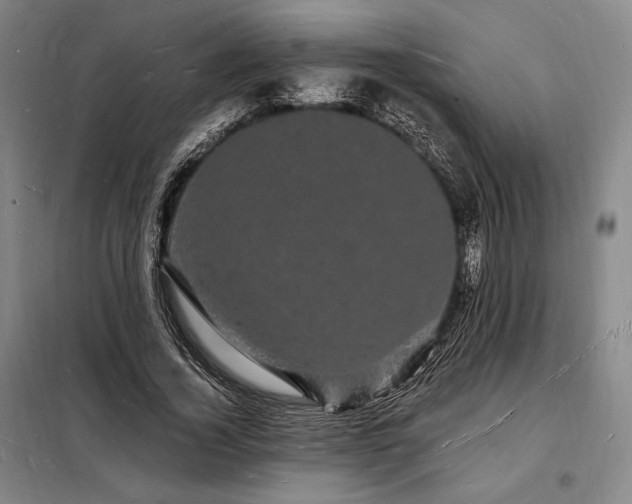 X0000098230732200805011257