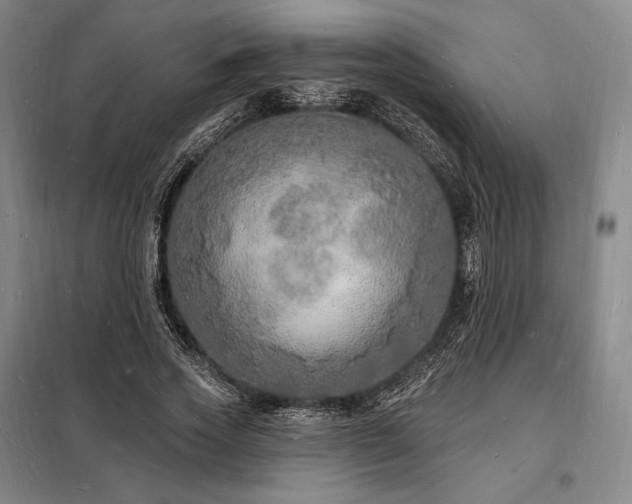 X0000098230733200805011257