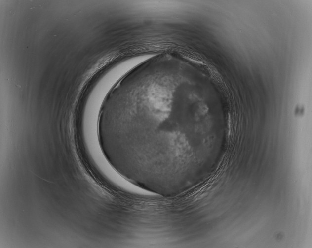 X0000098230734200805011257