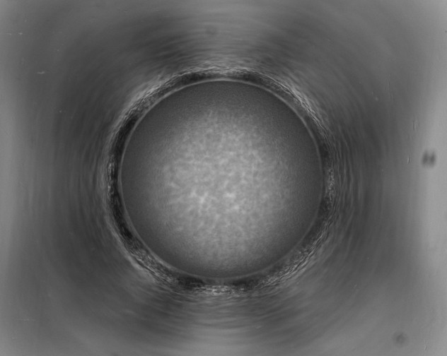 X0000098230736200805011257