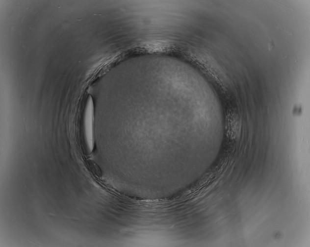 X0000098230740200805011257