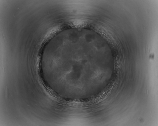 X0000098230742200805011257