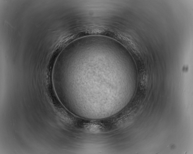 X0000098230743200805011257