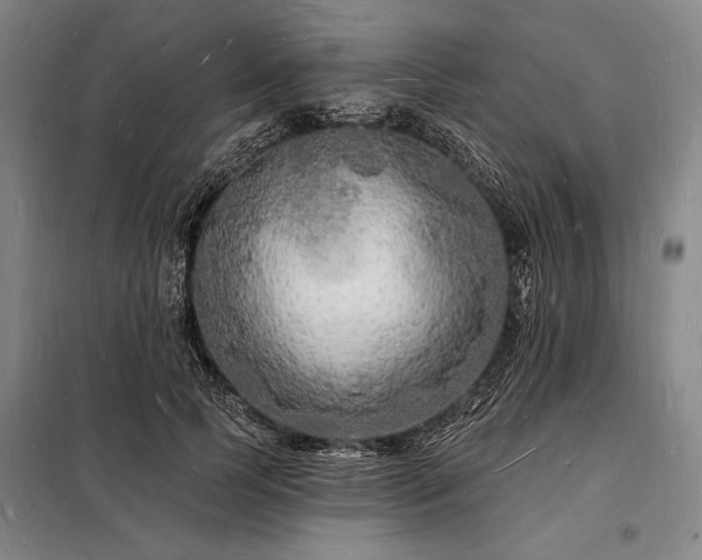 X0000098230745200805011257