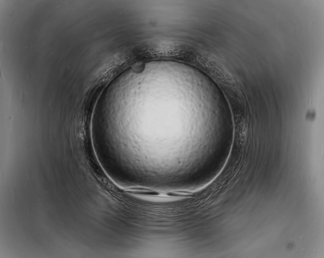 X0000098230746200805011257