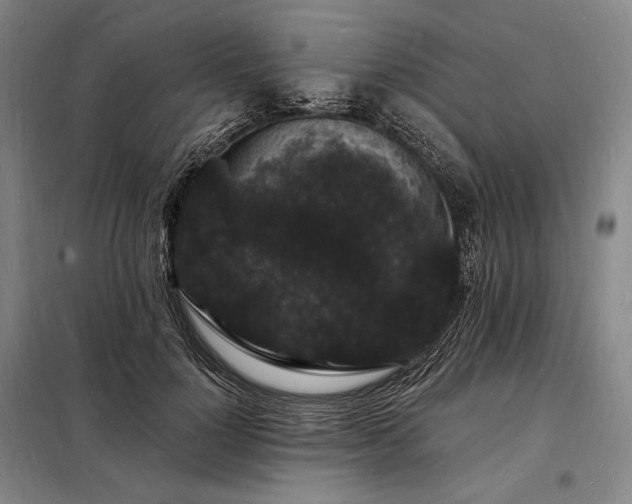 X0000098230748200805011257