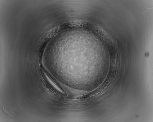 X0000098230749200805011257