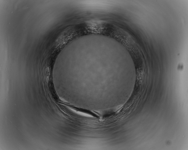 X0000098230752200805011257
