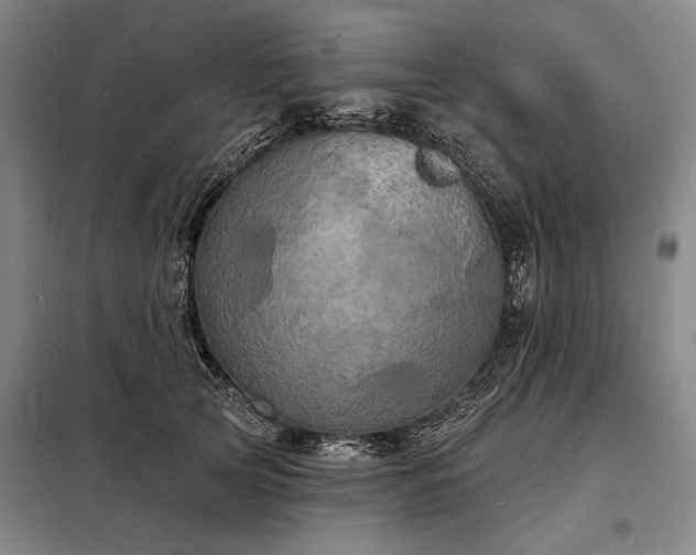 X0000098230753200805011257