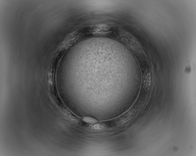 X0000098230755200805011257