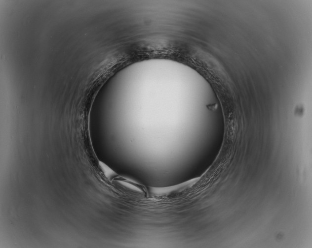 X0000098230756200805011257
