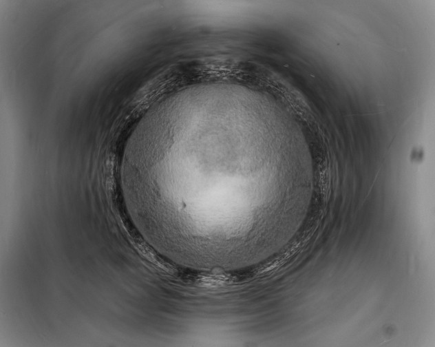 X0000098230757200805011257