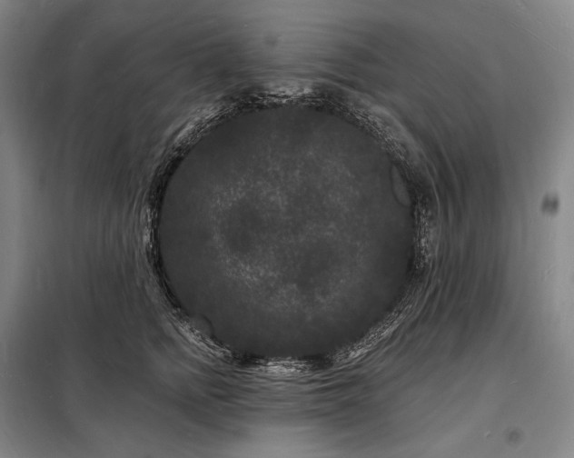 X0000098230758200805011257
