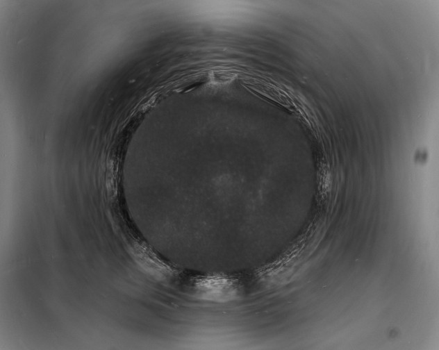 X0000098230759200805011257