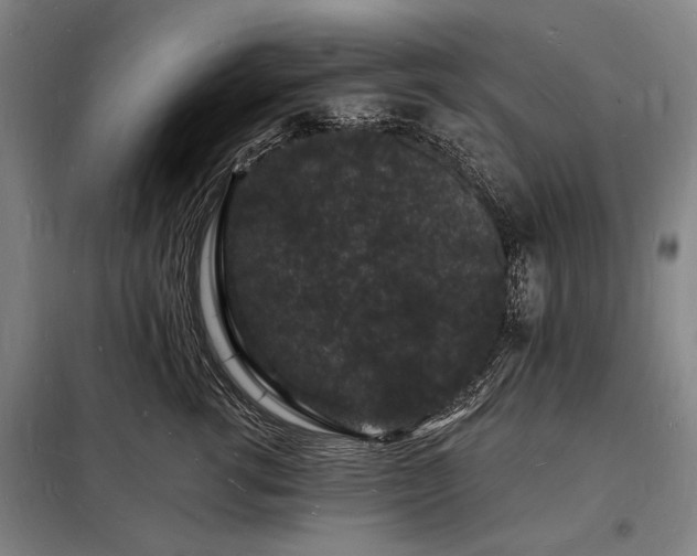 X0000098230762200805011257