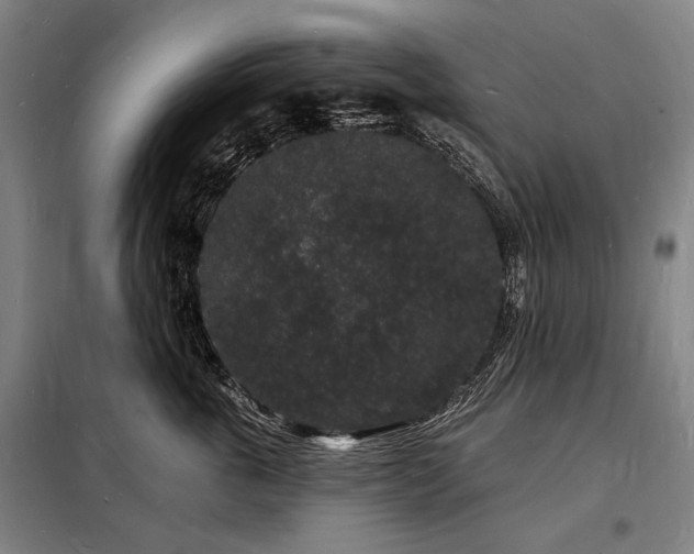 X0000098230763200805011257