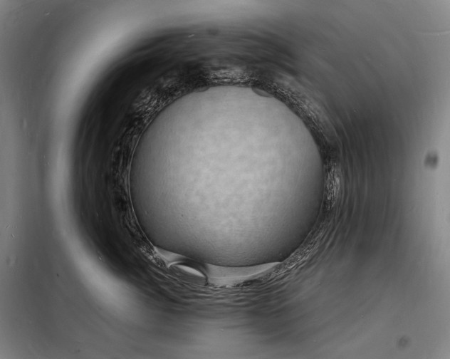 X0000098230764200805011257