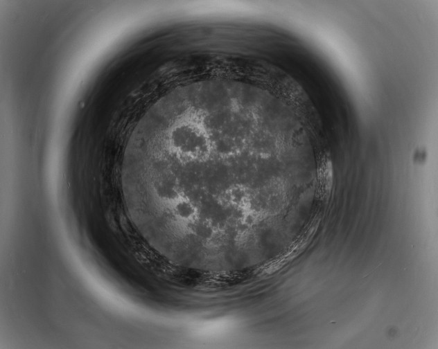 X0000098230765200805011257