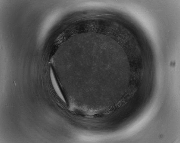 X0000098230766200805011257