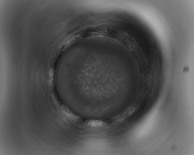 X0000098230767200805011257