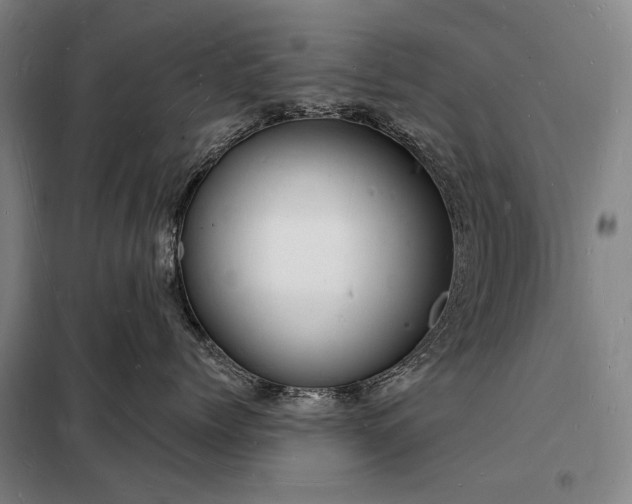 X0000098230768200805011257