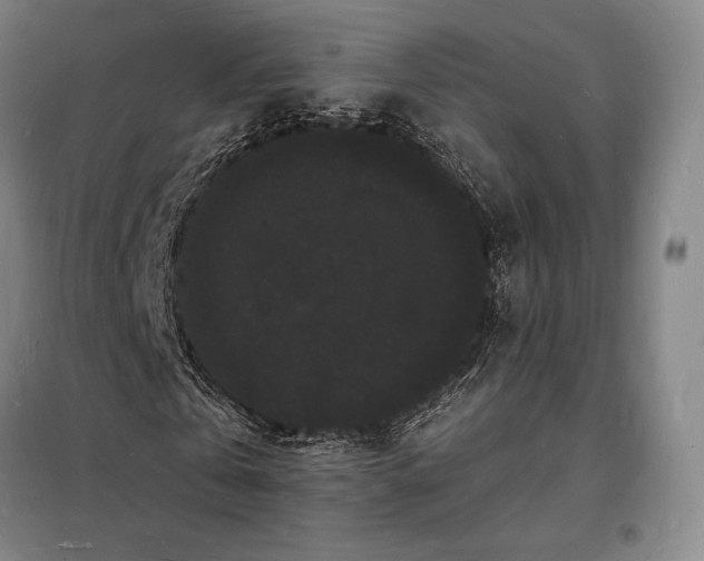 X0000098230769200805011256