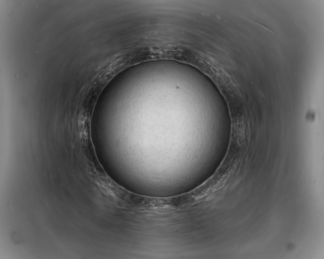 X0000098230770200805011256