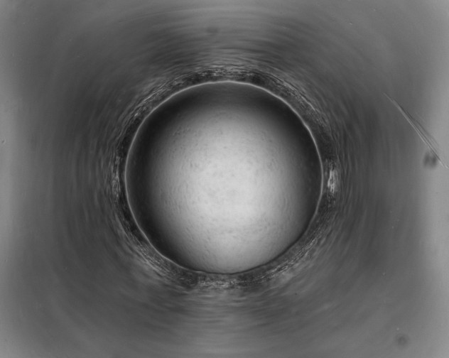 X0000098230771200805011256
