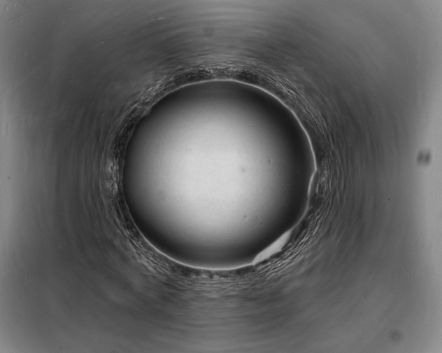 X0000098230772200805011256