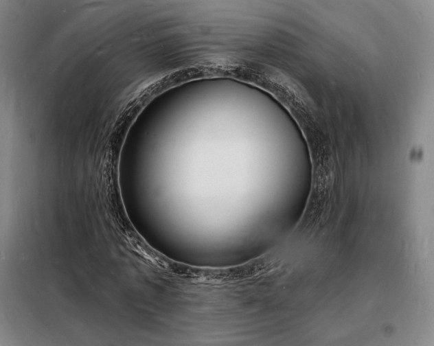 X0000098230773200805011256