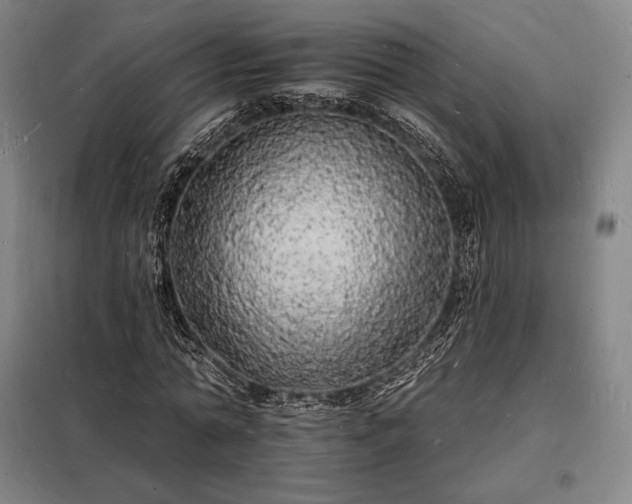X0000098230774200805011256