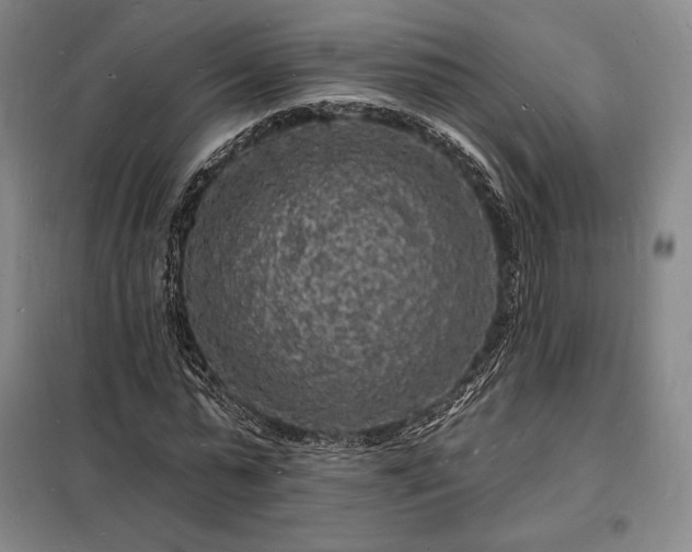 X0000098230775200805011256