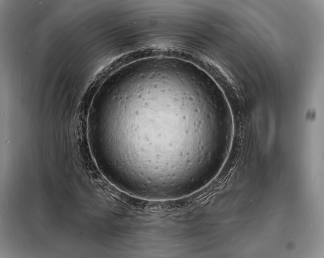 X0000098230776200805011256