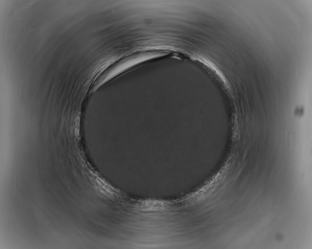 X0000098230777200805011256