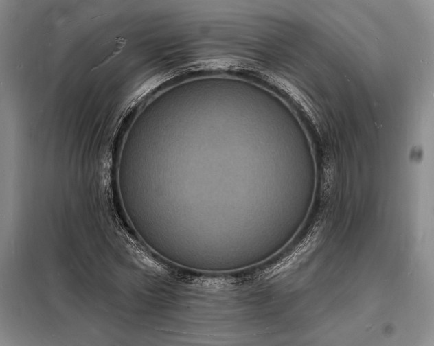 X0000098230778200805011256