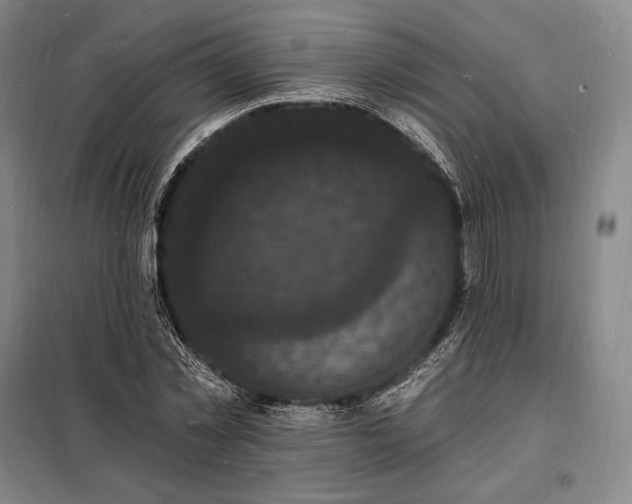 X0000098230781200805011256