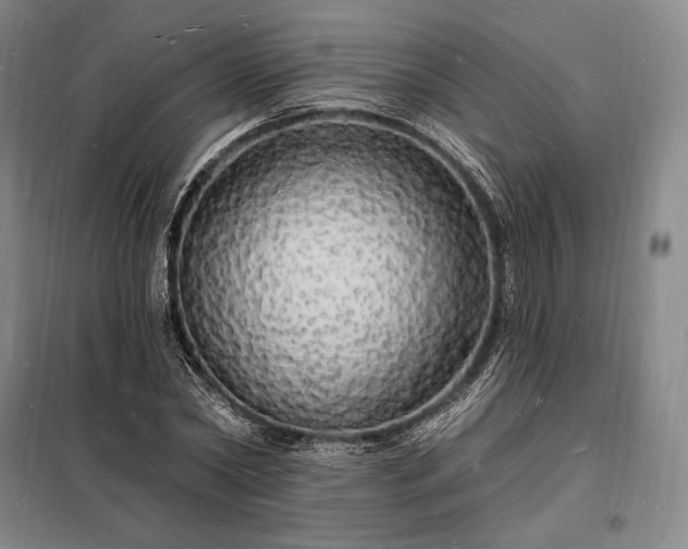X0000098230782200805011256