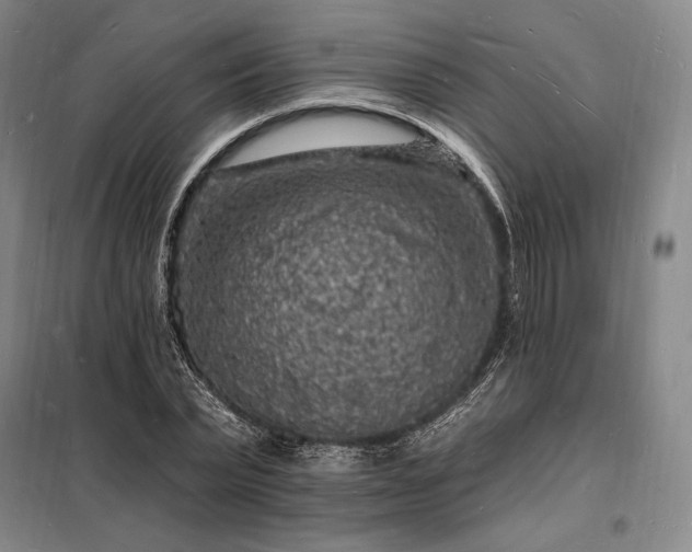 X0000098230783200805011256