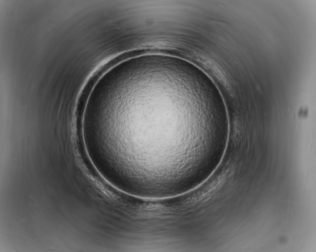 X0000098230784200805011256