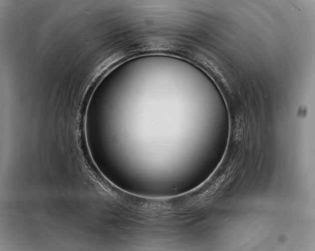 X0000098230786200805011256