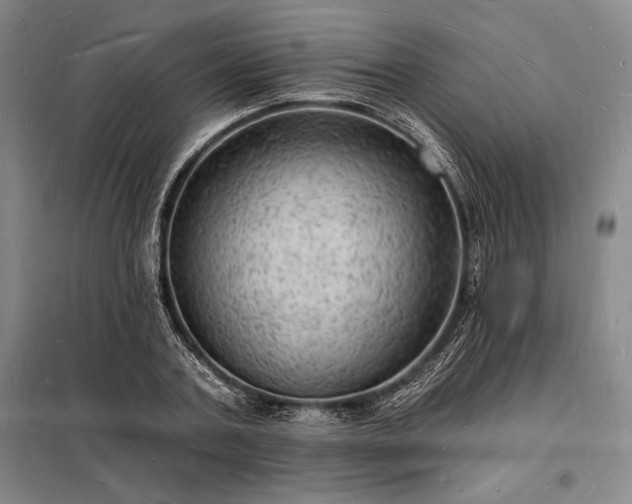 X0000098230787200805011256